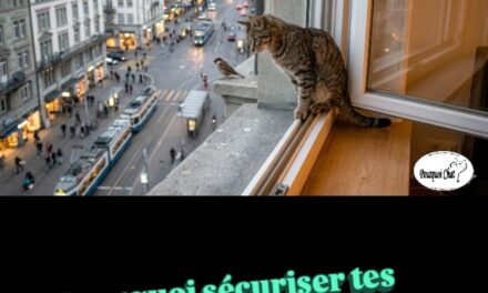 Pourquoi sécuriser tes fenêtres et balcons ?