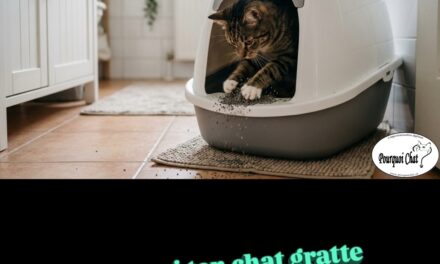 Pourquoi ton chat gratte le toit de sa litière ?